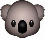 Happykoala_5799 group