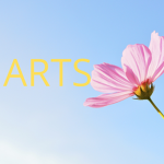 Mariam Arts fan's group