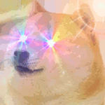 The real doge team and group