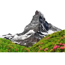 Green Grass and Rocky Mountains icon