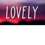 (Lovely Group)