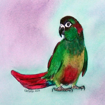 conure painting Roblox decal