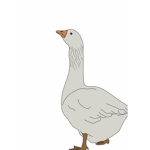 GooseyDesigns