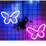 Stay butterflyed