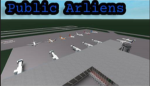 Public Arlines