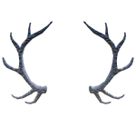 Platinum Antlers