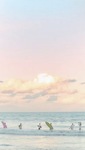 The stitch chips