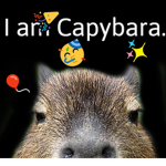 Capybara Armyy
