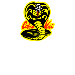 Cobra Kai Karate Northen Dojo