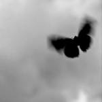 حياكم عرب