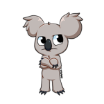 team koala fans