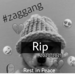 ZAGGANG