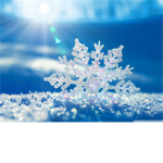 winter snow fashion