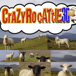 CrazyRocattle3D