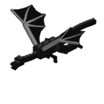 Ender Dragon group :D