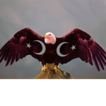 Bro l ar gu ru bu