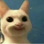 Potato_Patata