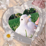 ᴛʜᴇ ᴘɪɢᴇᴏɴ ᴄᴜʟᴛ