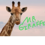 Giraffe Village