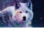 Team Galaxy Wolf Gamer