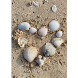 ESCAPE THE SEASHELL DREAMS ISLAND OBBY!!!!!!!