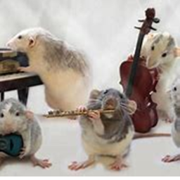 Rat Band Stage