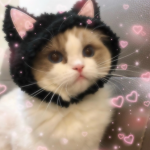 "~kitten's café~"