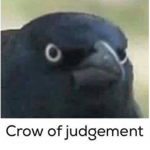 Ash's Developing Group Thing