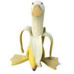 Da ducky bananas