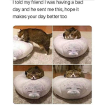 Animal similar #