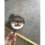 꼬맹이 군단
