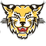{NCAAF} St. Thomas Tomcats Football Program