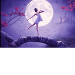 Ballerina academy