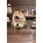 YAAAAYYYYY