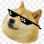 The Cool Dawg Community!