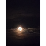 지허니 일당