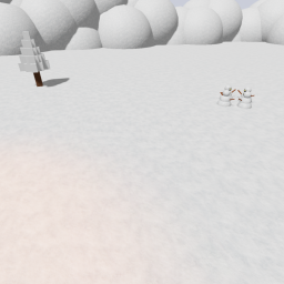 snow place