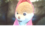 Booboo The dog