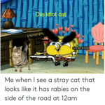 Rat clankaz