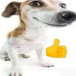 ツalexa