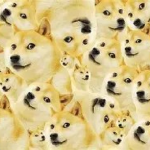 THE BREAD CULT OF GODS