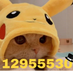 Gatosfinos