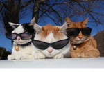 Crazy people aka me and my friends