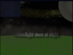 Moonlight stars at night
