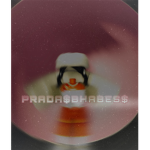 PRADA$BHABES$