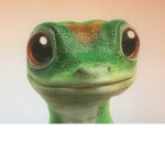 Geico Sales Office