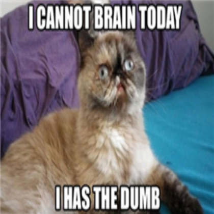 I cannot brain cat meme Roblox decal