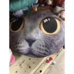 catsarekool