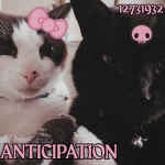 ANTICIPATION;
