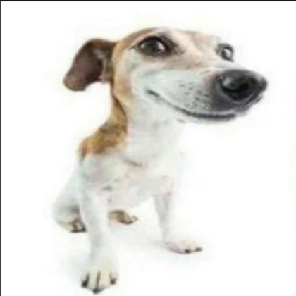 what the dog doing Roblox decal